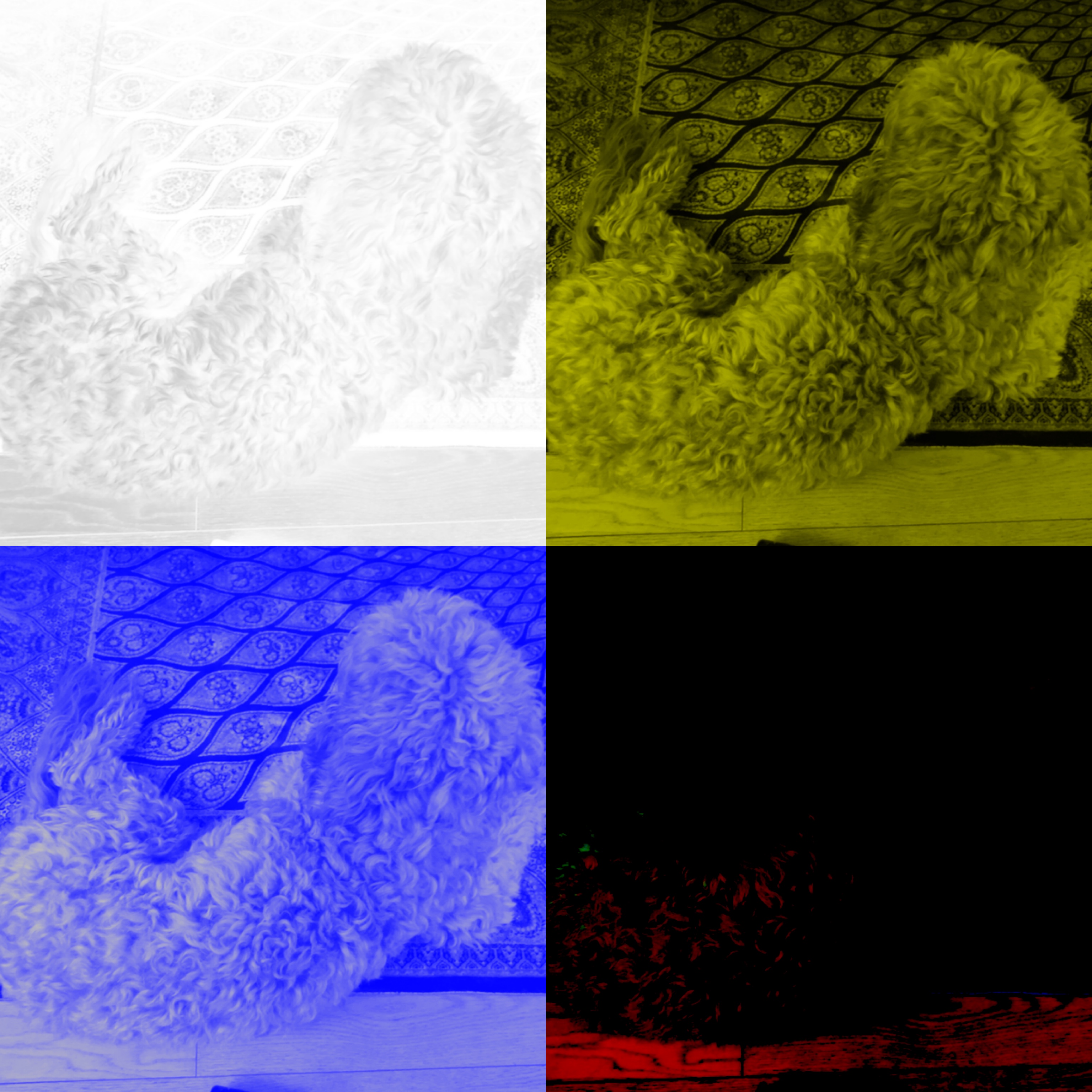 Four filter comparison views